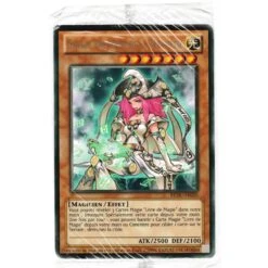 Carte Géante : Grande Prêtresse De La Prophétie [REDU]