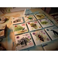 Sur Les Traces De Darwin -Magasin De Jeux sur les traces de darwin 7