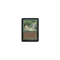 Verte - Sylvan Paradise (U)